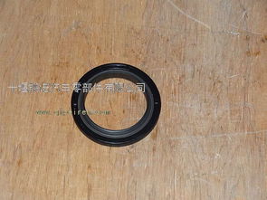 東風(fēng)發(fā)動機總成ISDE/ISBE曲軸前油封4890832 進口油封解析與圖片展示