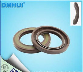 耐高壓耐高溫旋轉(zhuǎn)油封廠家批發(fā) 多種規(guī)格，進(jìn)口品質(zhì)保障