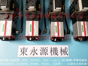 吉林超負(fù)荷裝置OLP12S-H-L 為何選擇東永源品牌進(jìn)口油封？